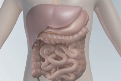 whipple-video_thumbnail